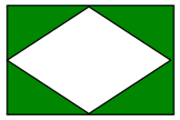 Bandera Institucional